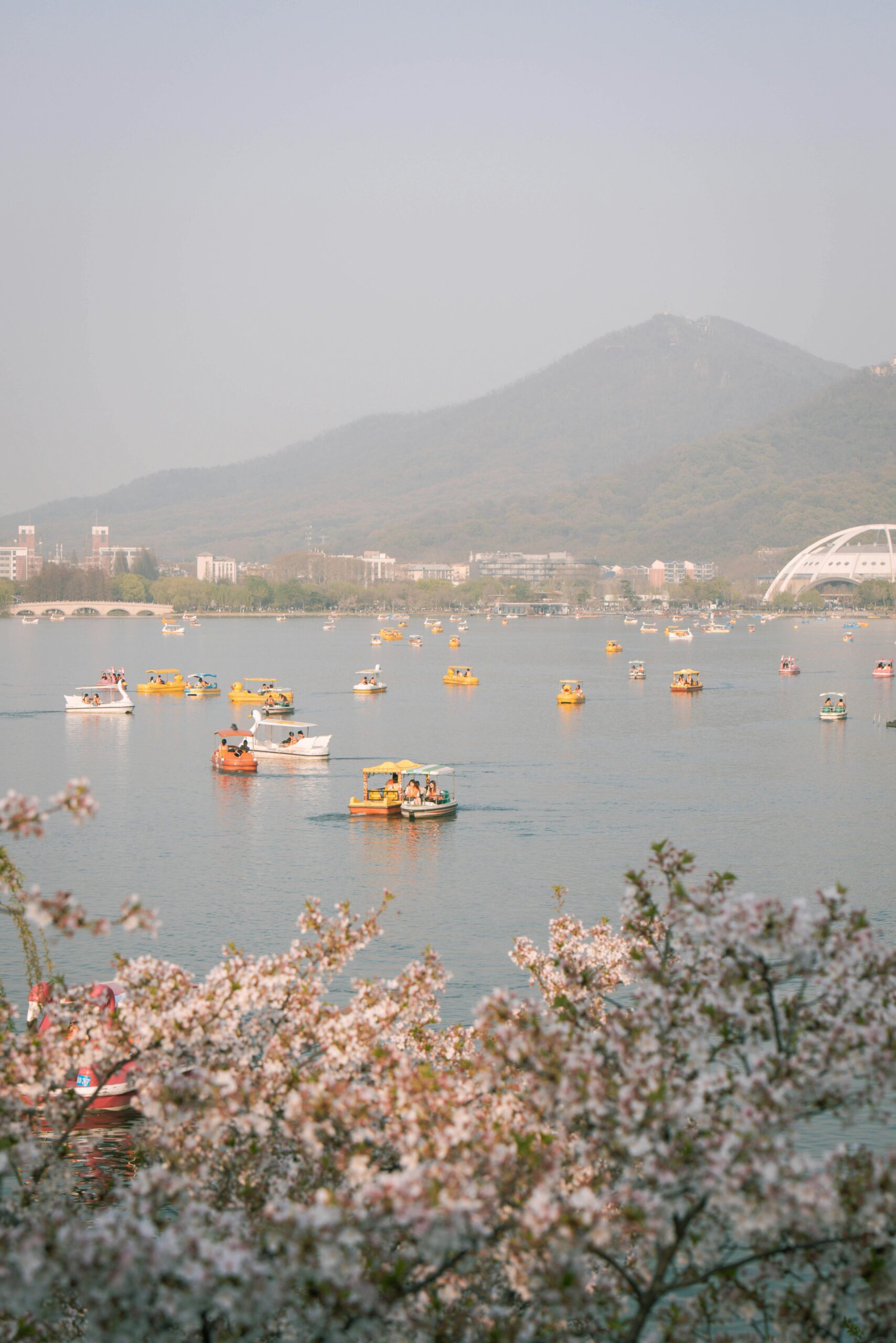 pexels 71366650 31719930