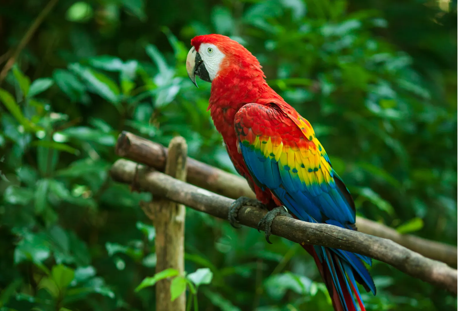 This is a collection of all the articles I have written about Australia.