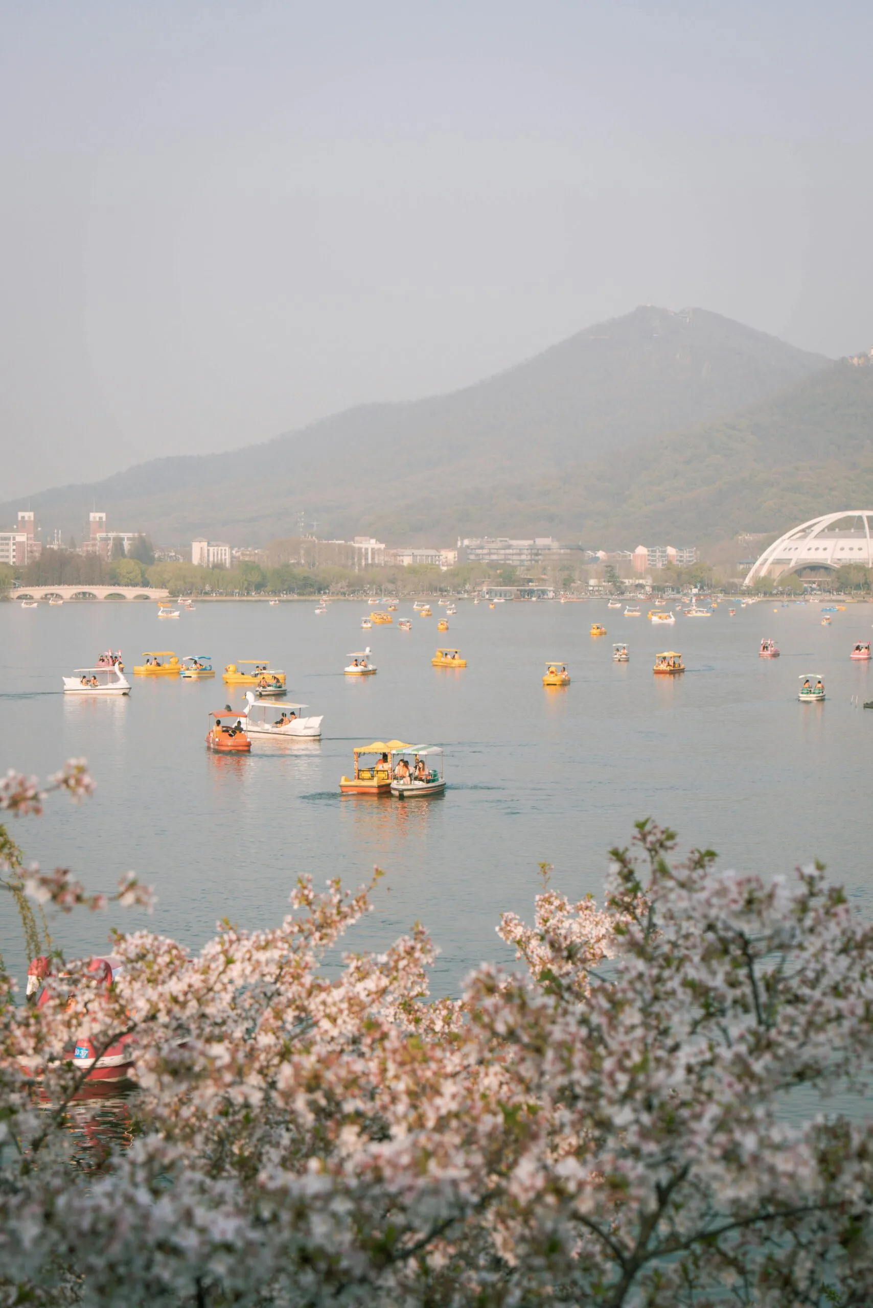 pexels-71366650-31719930-scaled