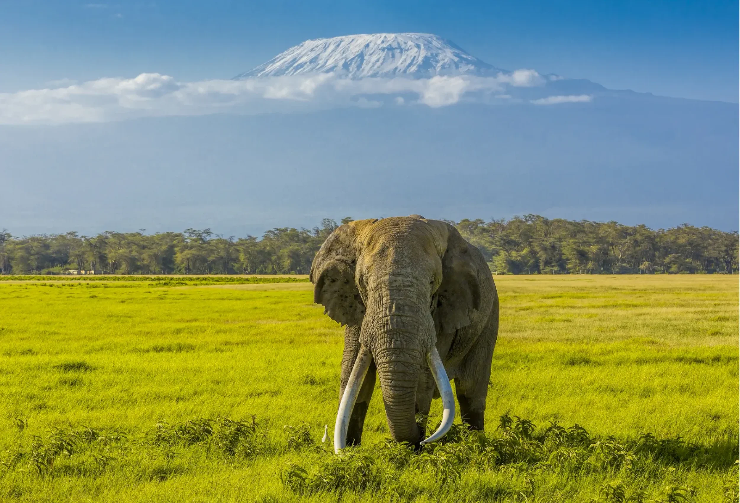 251