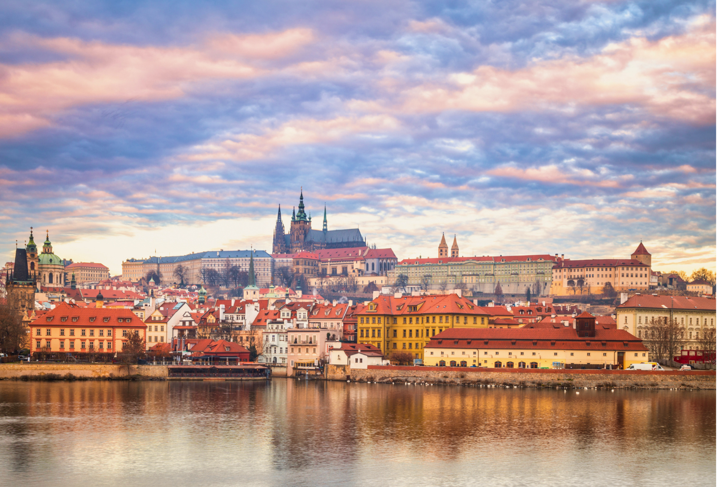 tripcheers website sub img (1)