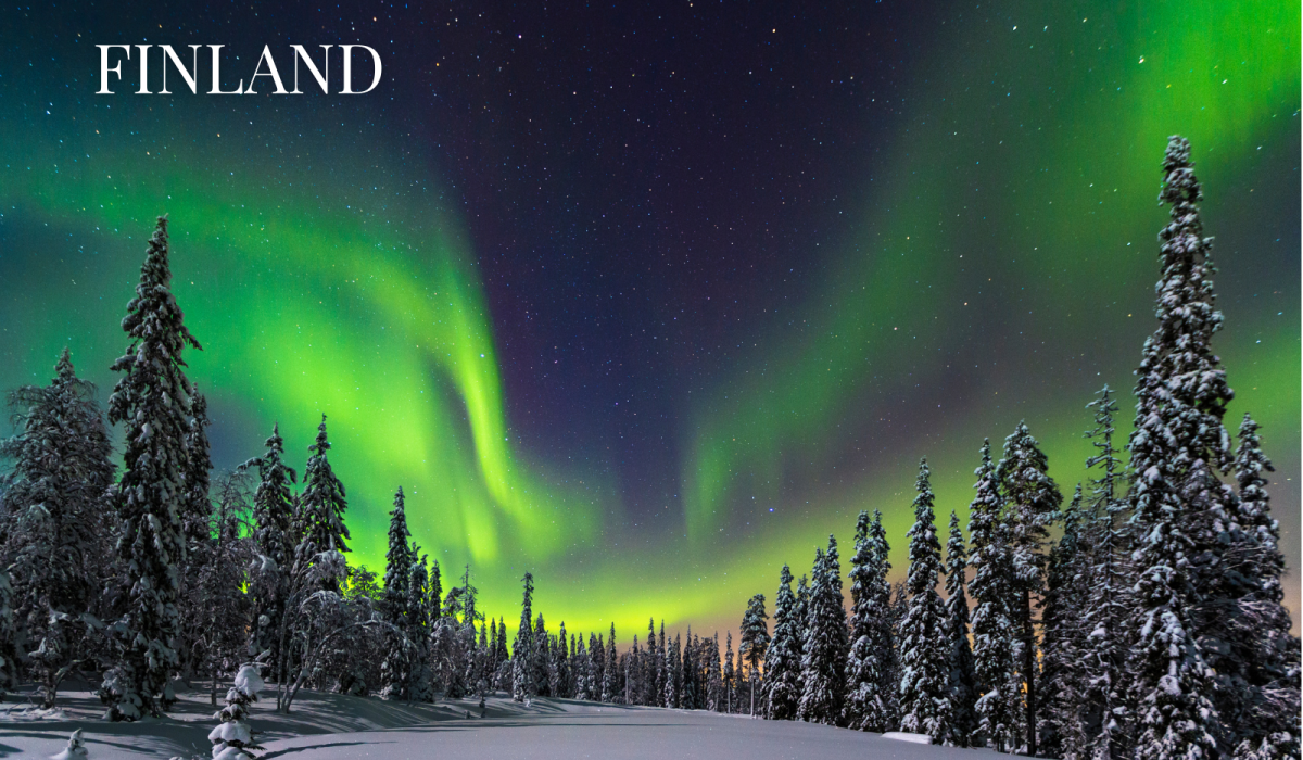 tripcheers website sub img (11)