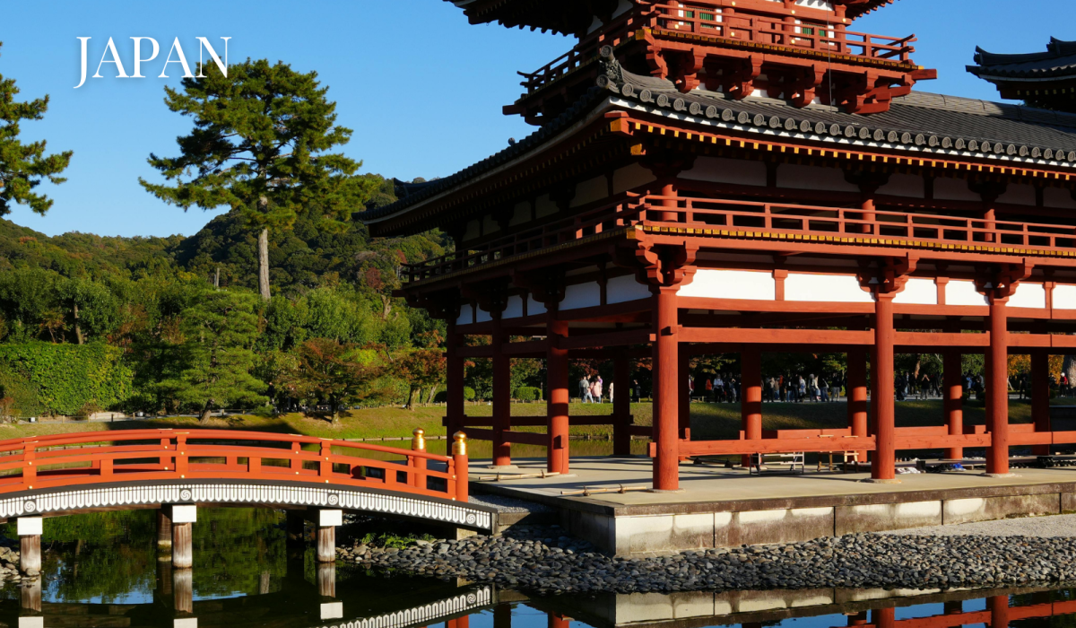 tripcheers website sub img (14)