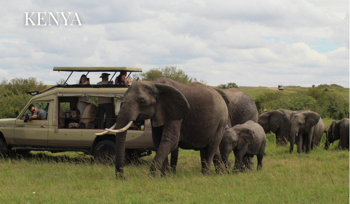 tripcheers website sub img (26)