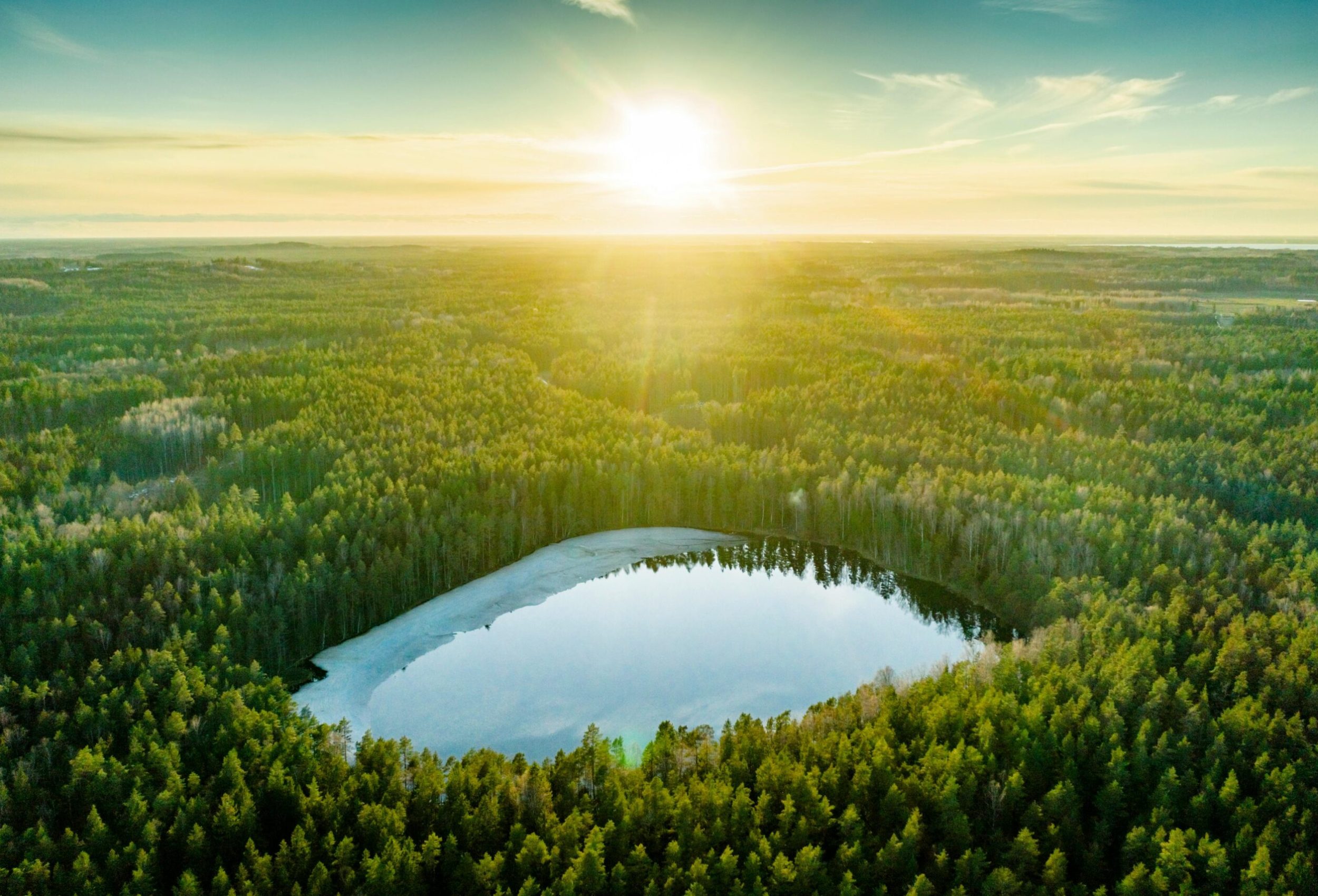 pexels vilnisphoto 7449712