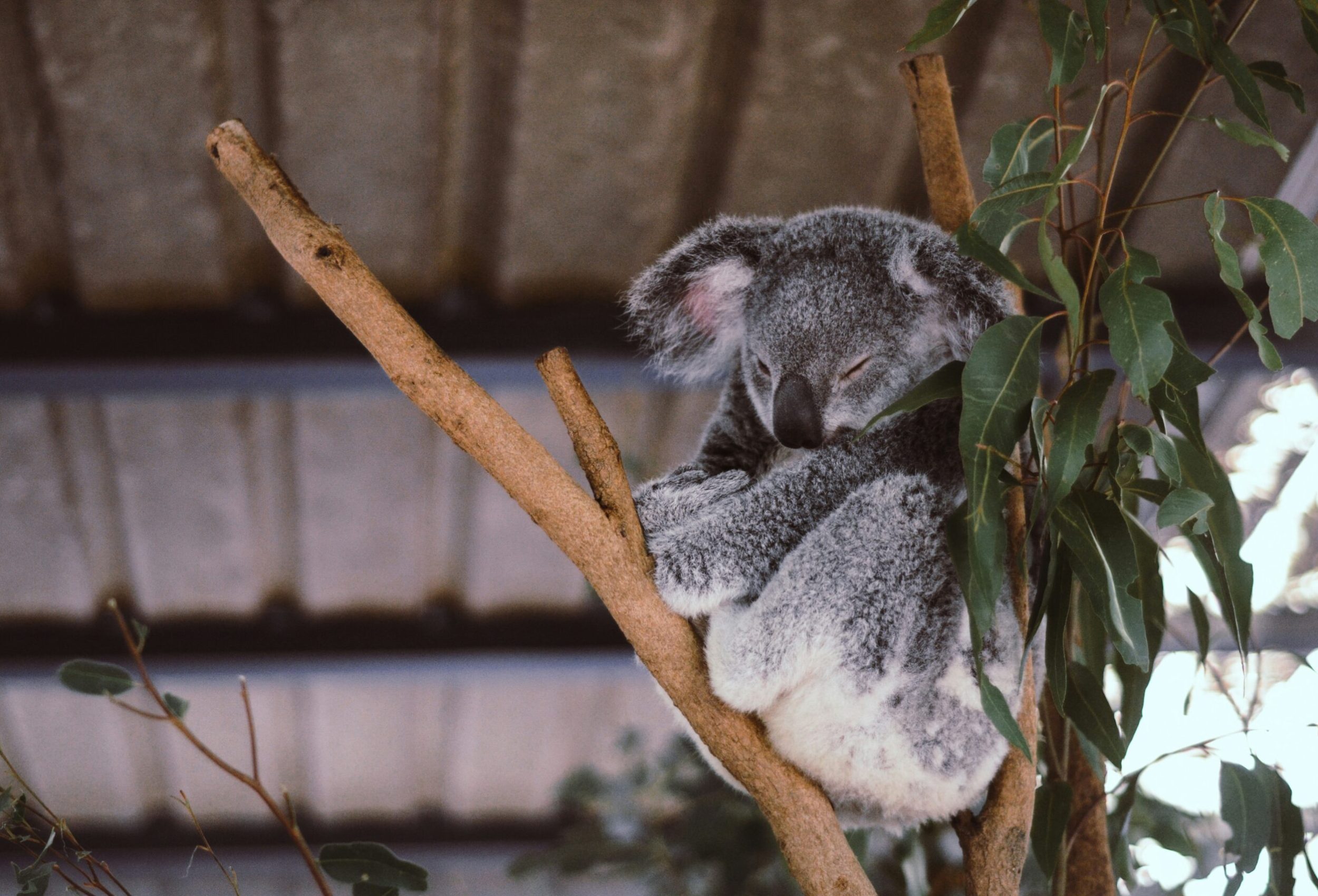 vita vilcina jrf4udduzjc unsplash